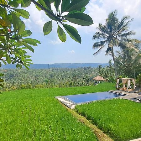 Bali De Pardis Cottage Munduk Zewnętrze zdjęcie
