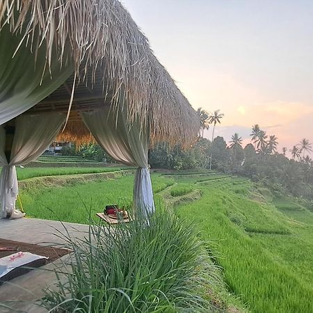 Bali De Pardis Cottage Munduk Zewnętrze zdjęcie
