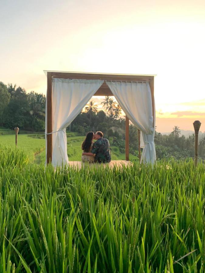 Bali De Pardis Cottage Munduk Zewnętrze zdjęcie