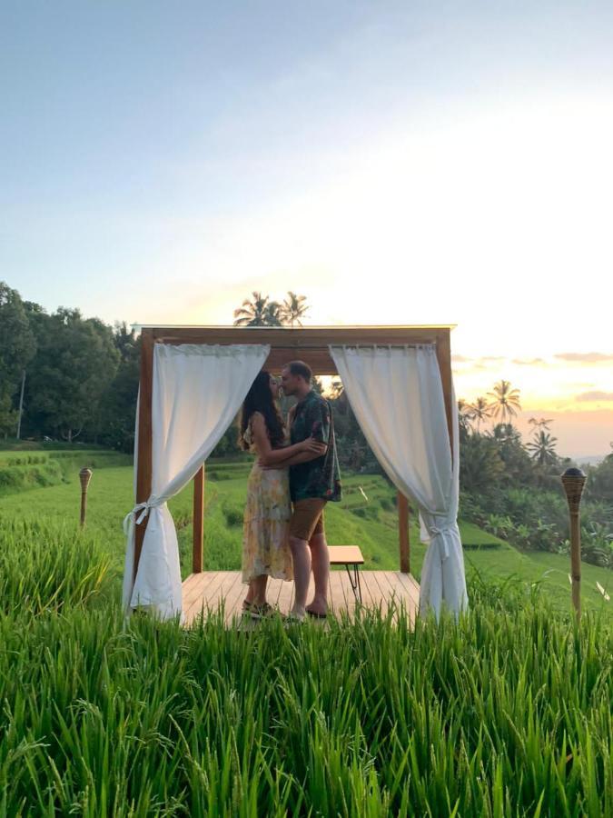 Bali De Pardis Cottage Munduk Zewnętrze zdjęcie