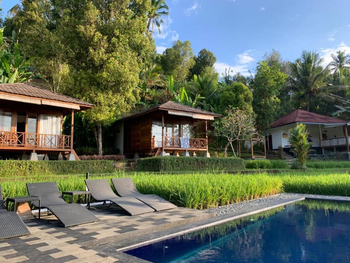 Bali De Pardis Cottage Munduk Zewnętrze zdjęcie