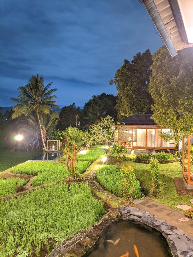 Bali De Pardis Cottage Munduk Zewnętrze zdjęcie