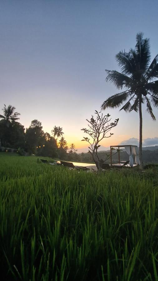 Bali De Pardis Cottage Munduk Zewnętrze zdjęcie