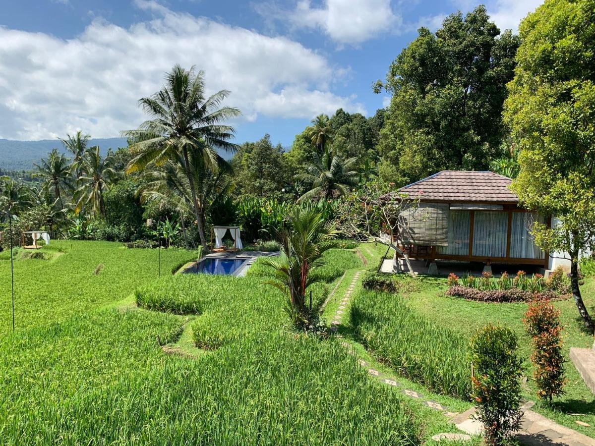 Bali De Pardis Cottage Munduk Zewnętrze zdjęcie