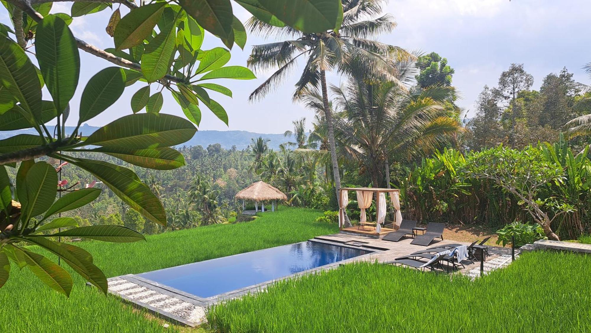 Bali De Pardis Cottage Munduk Zewnętrze zdjęcie
