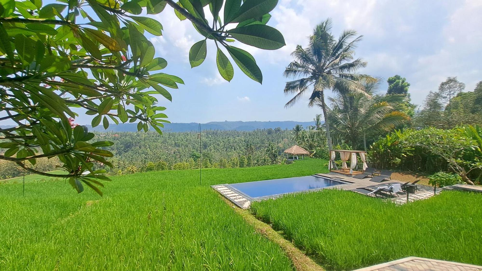 Bali De Pardis Cottage Munduk Zewnętrze zdjęcie