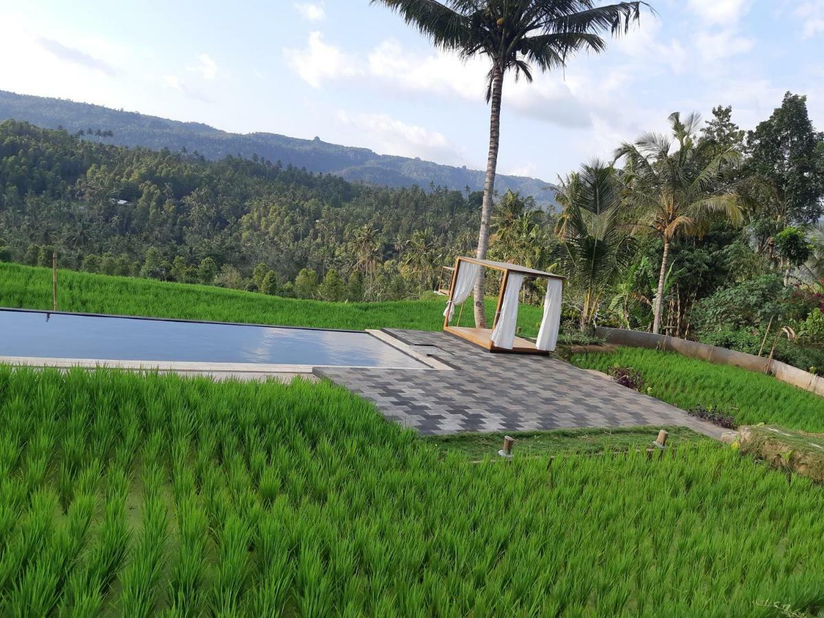 Bali De Pardis Cottage Munduk Zewnętrze zdjęcie