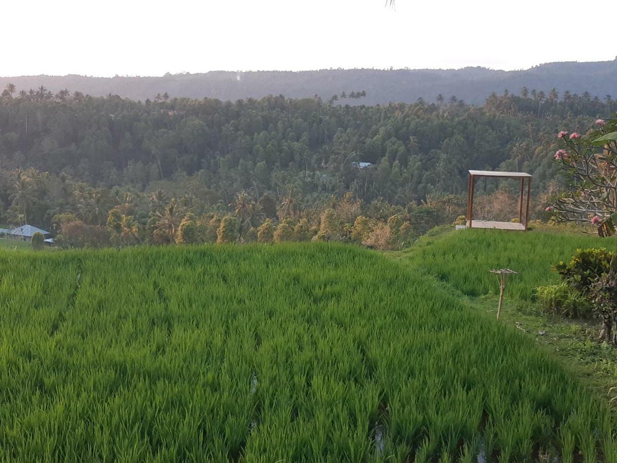Bali De Pardis Cottage Munduk Zewnętrze zdjęcie