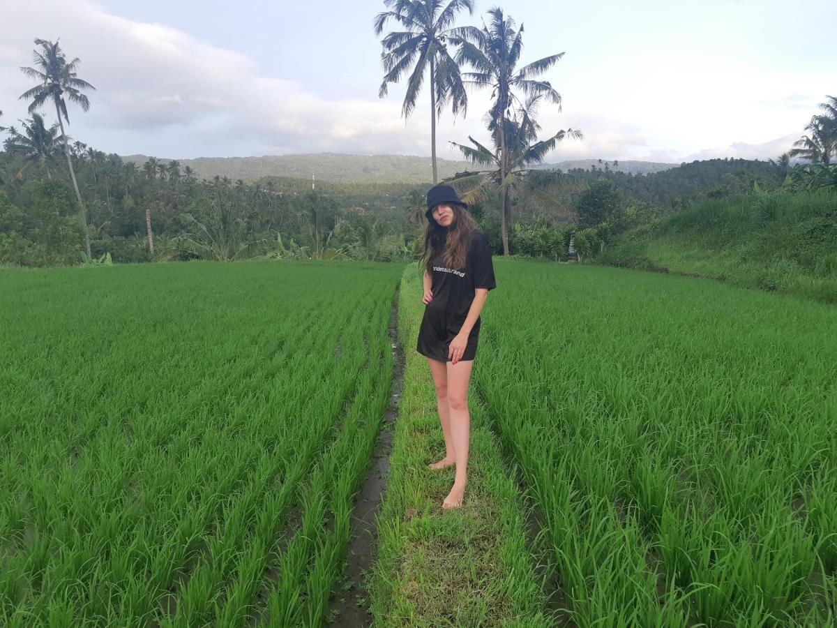 Bali De Pardis Cottage Munduk Zewnętrze zdjęcie