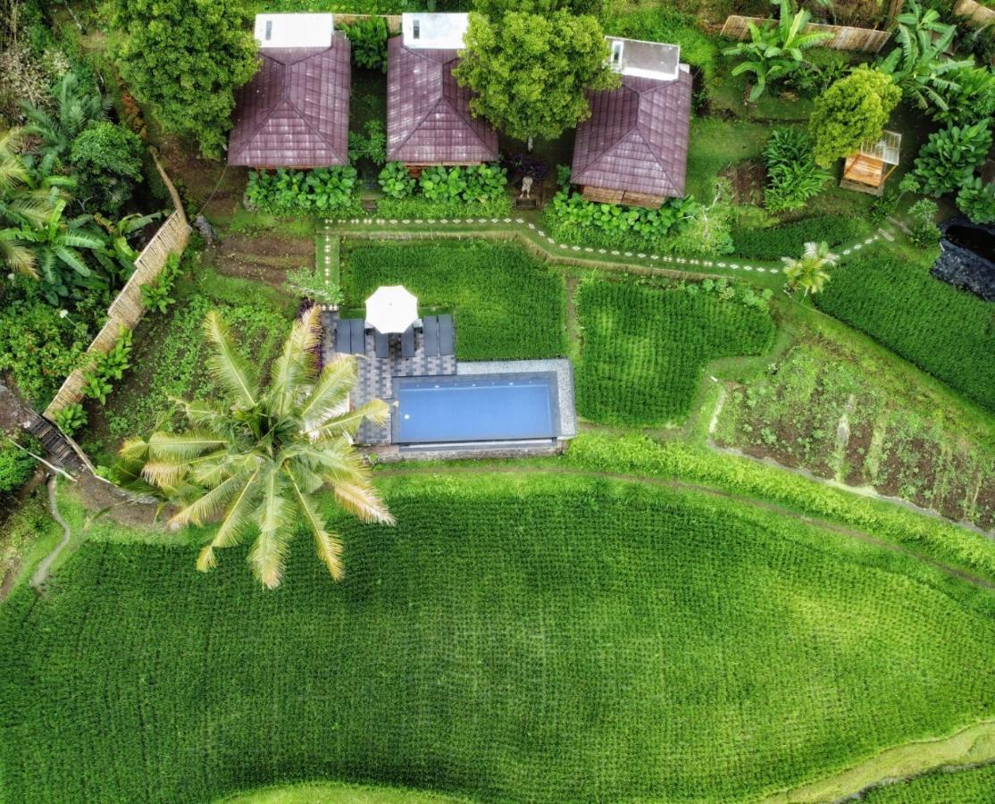 Bali De Pardis Cottage Munduk Zewnętrze zdjęcie