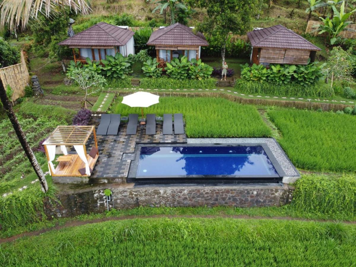 Bali De Pardis Cottage Munduk Zewnętrze zdjęcie