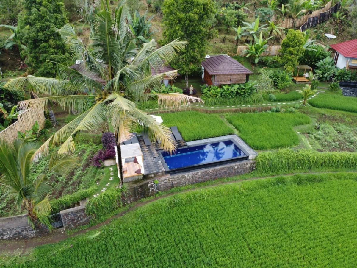 Bali De Pardis Cottage Munduk Zewnętrze zdjęcie