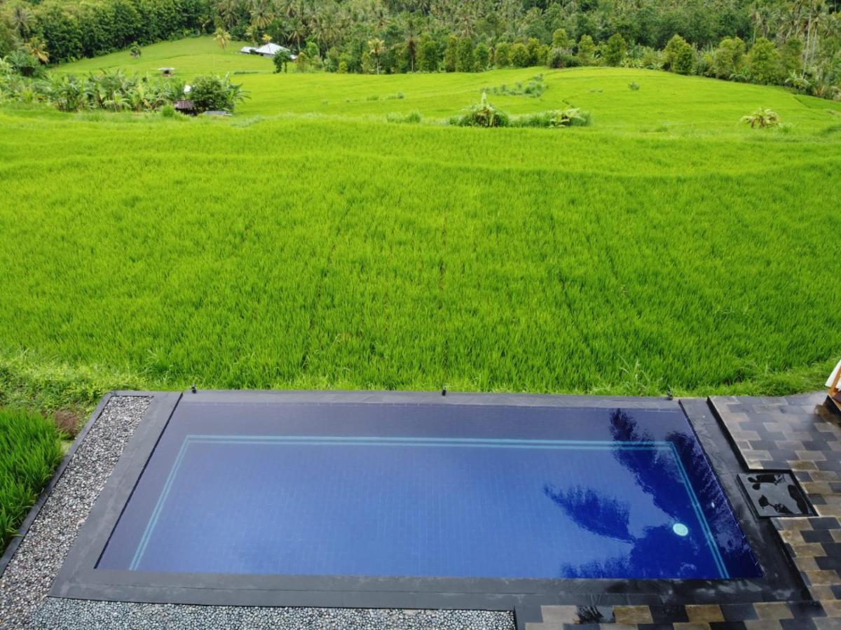 Bali De Pardis Cottage Munduk Zewnętrze zdjęcie