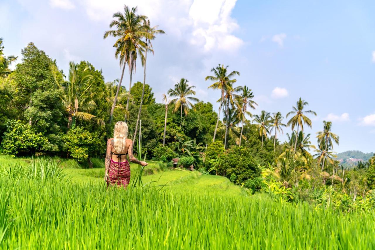 Bali De Pardis Cottage Munduk Zewnętrze zdjęcie