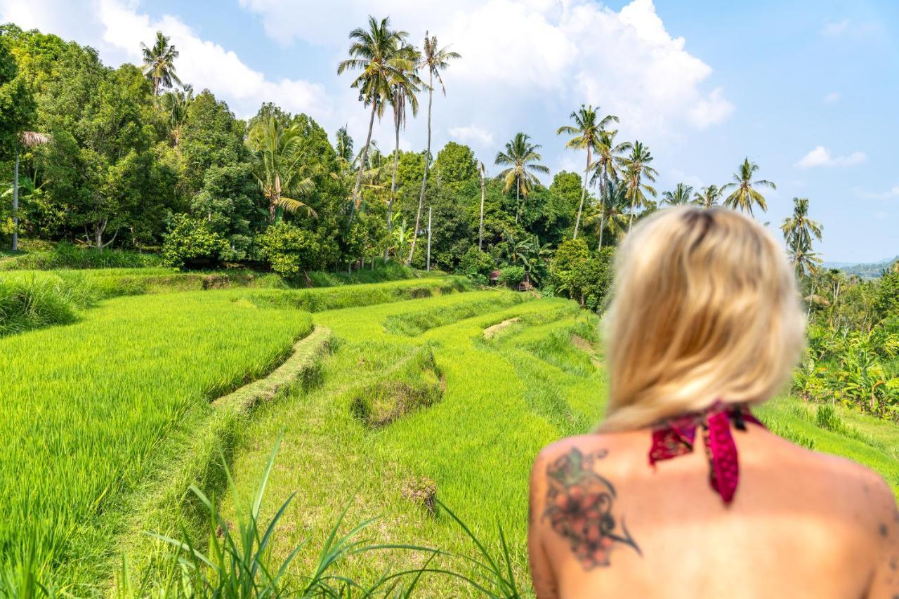 Bali De Pardis Cottage Munduk Zewnętrze zdjęcie